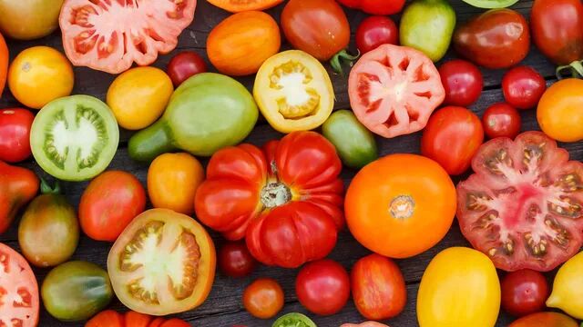 28-Things-to-Do-With-Too-Many-Tomatoes-tips-by-Mama-Natural.jpg