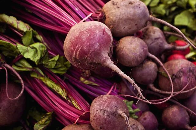 beets-182175899-5888a9fa3df78c2ccd9146c3.jpg